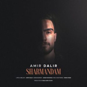 امیر دلیر – شرمندم